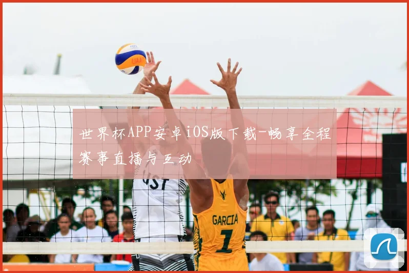 世界杯APP安卓iOS版下载-畅享全程赛事直播与互动