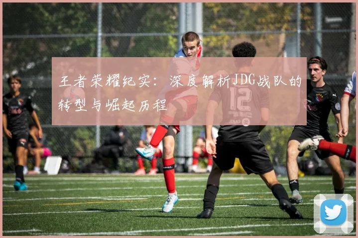 王者荣耀纪实：深度解析JDG战队的转型与崛起历程