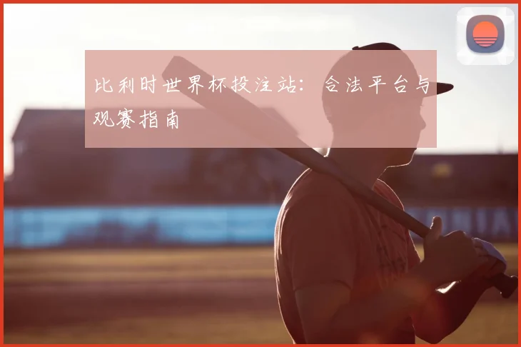 比利时世界杯投注站:合法平台与观赛指南