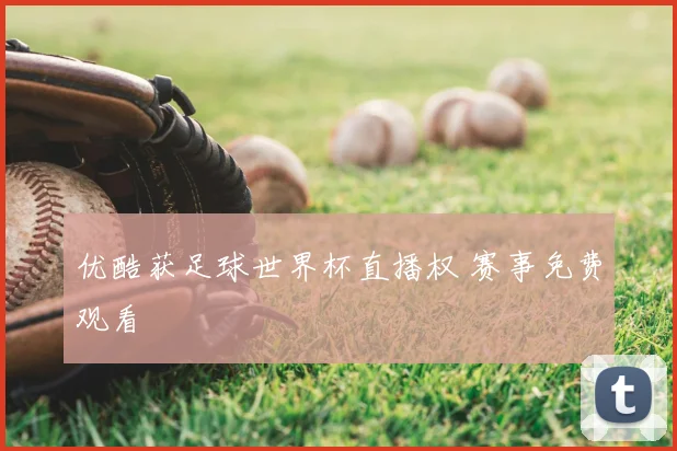 优酷获足球世界杯直播权 赛事免费观看