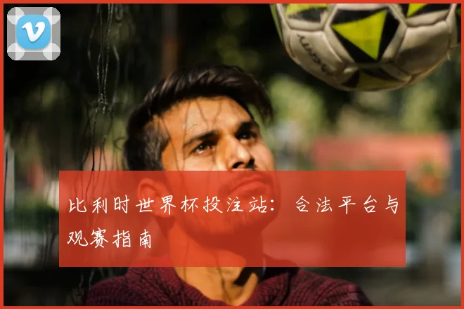 比利时世界杯投注站:合法平台与观赛指南