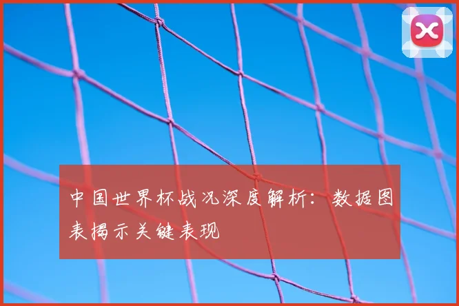 中国世界杯战况深度解析:数据图表揭示关键表现