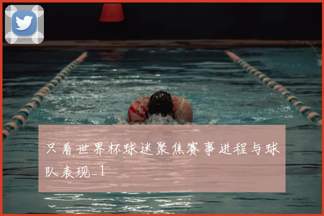 只看世界杯球迷聚焦赛事进程与球队表现_1