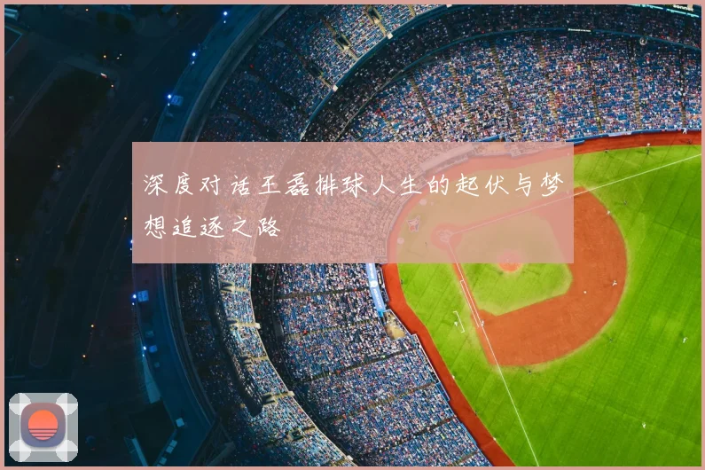 深度对话王磊排球人生的起伏与梦想追逐之路