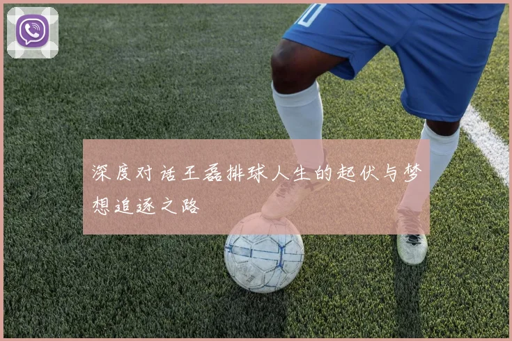 深度对话王磊排球人生的起伏与梦想追逐之路