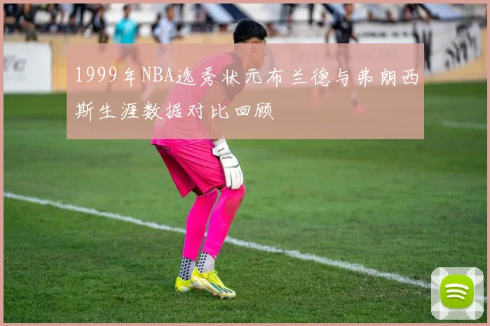1999年NBA选秀状元布兰德与弗朗西斯生涯数据对比回顾