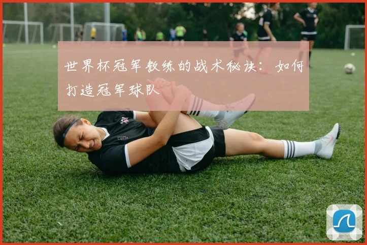 世界杯冠军教练的战术秘诀：如何打造冠军球队