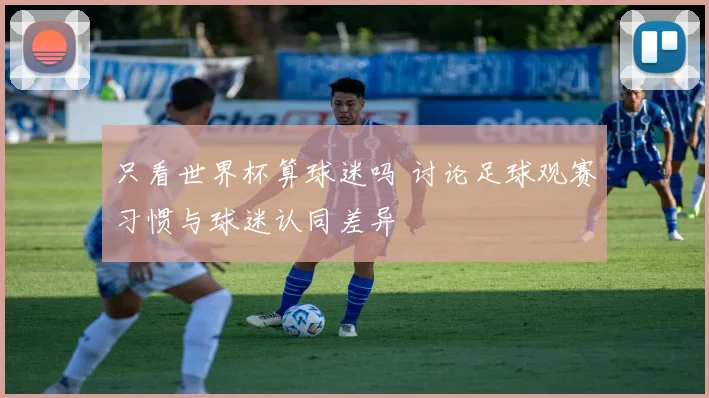 只看世界杯算球迷吗 讨论足球观赛习惯与球迷认同差异