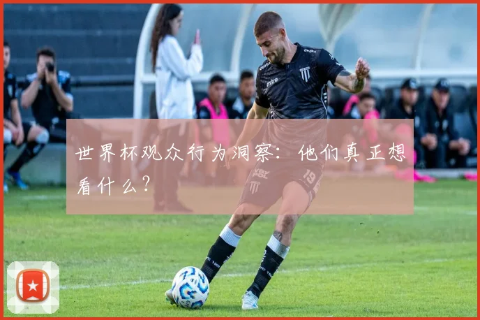 世界杯观众行为洞察:他们真正想看什么?