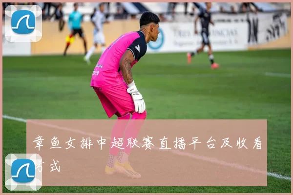 章鱼女排中超联赛直播平台及收看方式